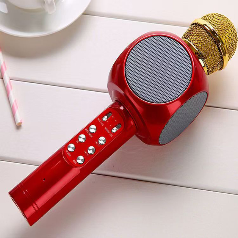 WS1816 무선 어린이 가라오케 마이크 어린이 마이크 - Kids Microphone Karaoke 리뷰 및 가격