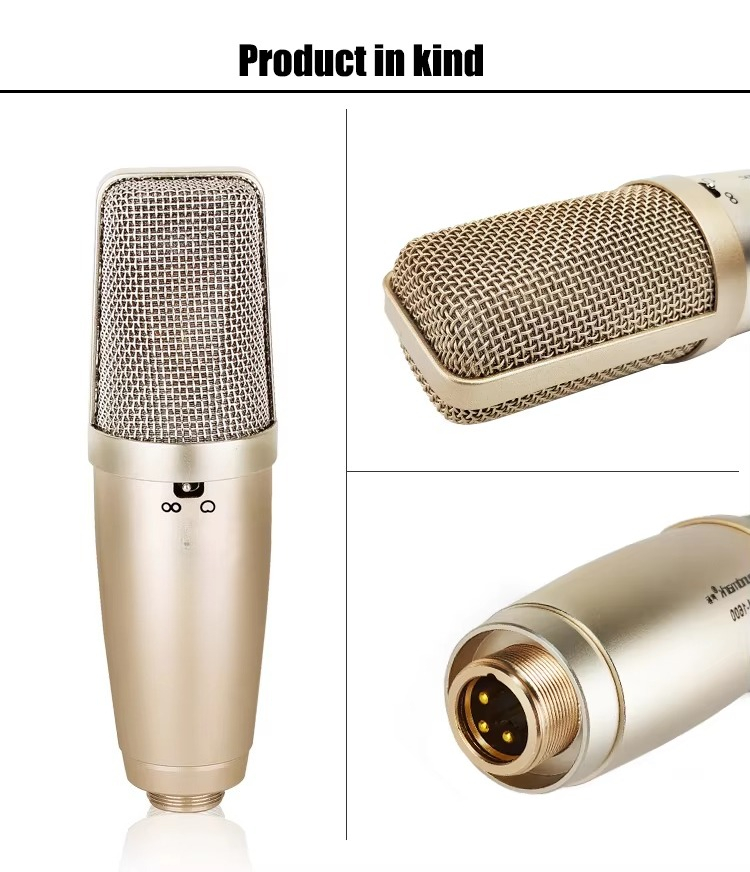 브랜드 뉴 키즈 마이크 스탠드 포함 노래방 음악 악기  - Kids Microphone Karaoke 리뷰 및 가격